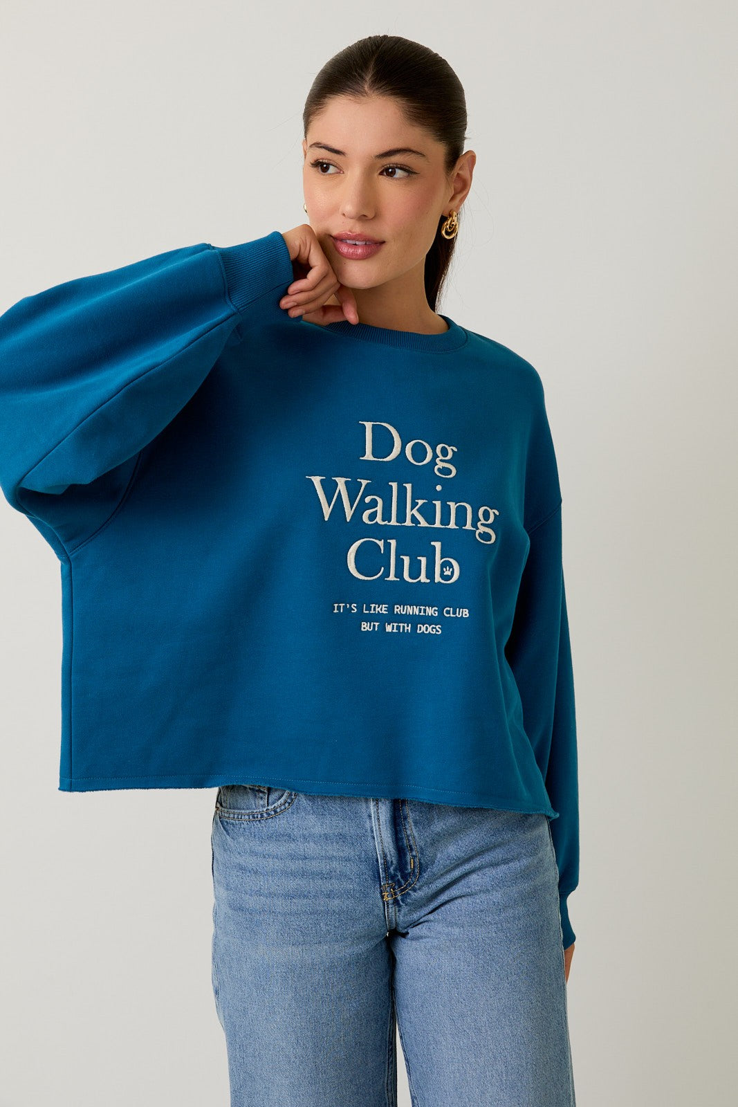 Dog Walking Club pullover!